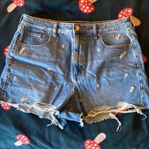 AE Embroidered Denim Shorts
